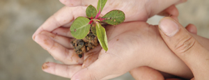 Ayurveda-voor-jong-en-oud